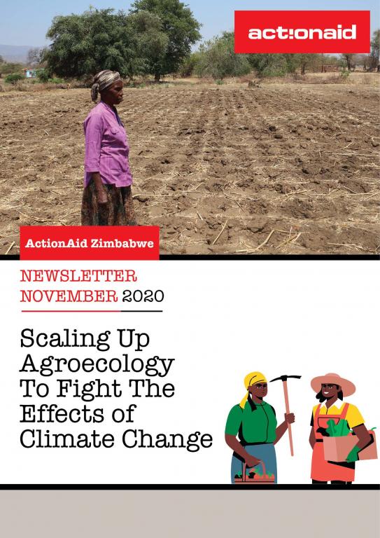 Actionaid Zimbabwe Newsletter Nov 2020 Actionaid Zimbabwe 